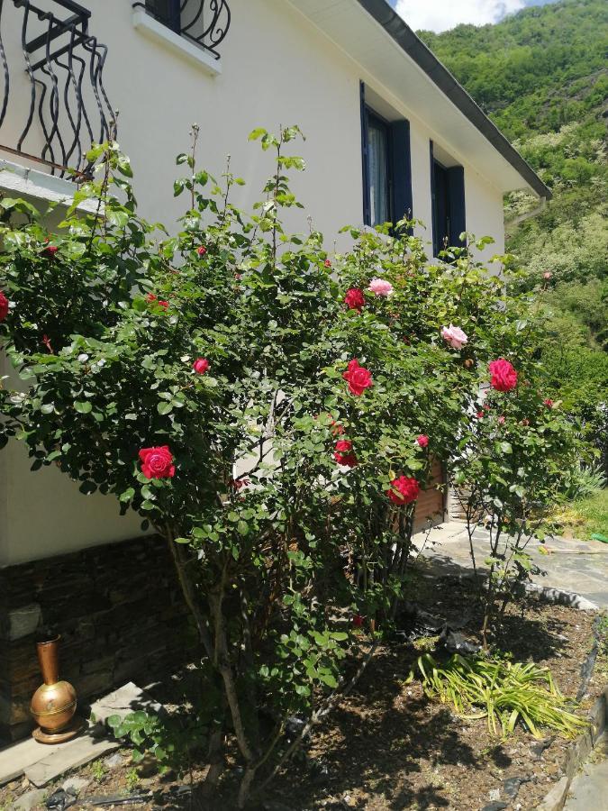 Bed and Breakfast Les Rosiers Bagnères-de-Luchon Exterior foto